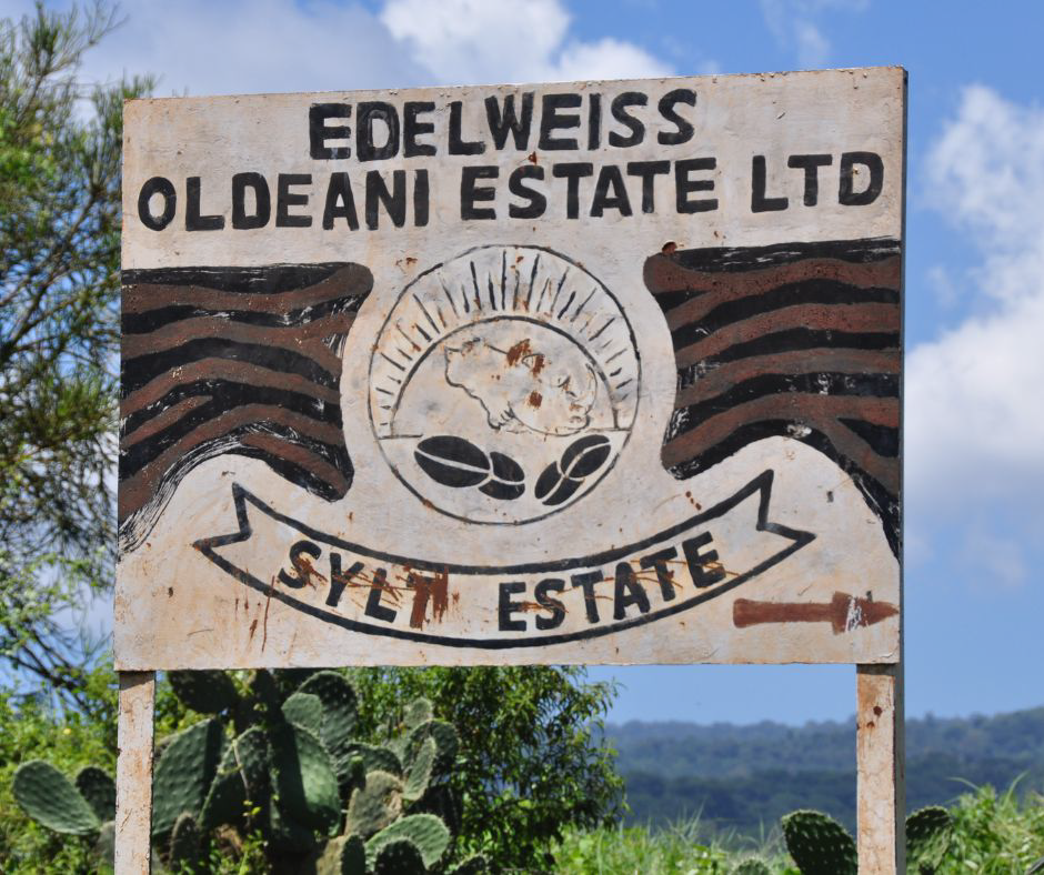 Edelweiss Estate Geisha AB+